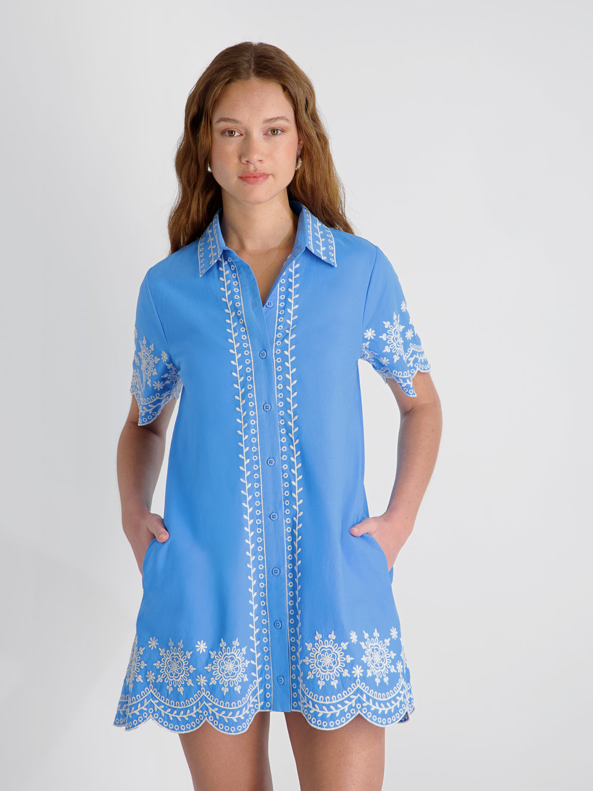 French Connection Alissa Embroidered Mini Shirt Dress