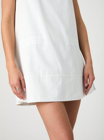 Pinstripe Sleeveless Shift Dress