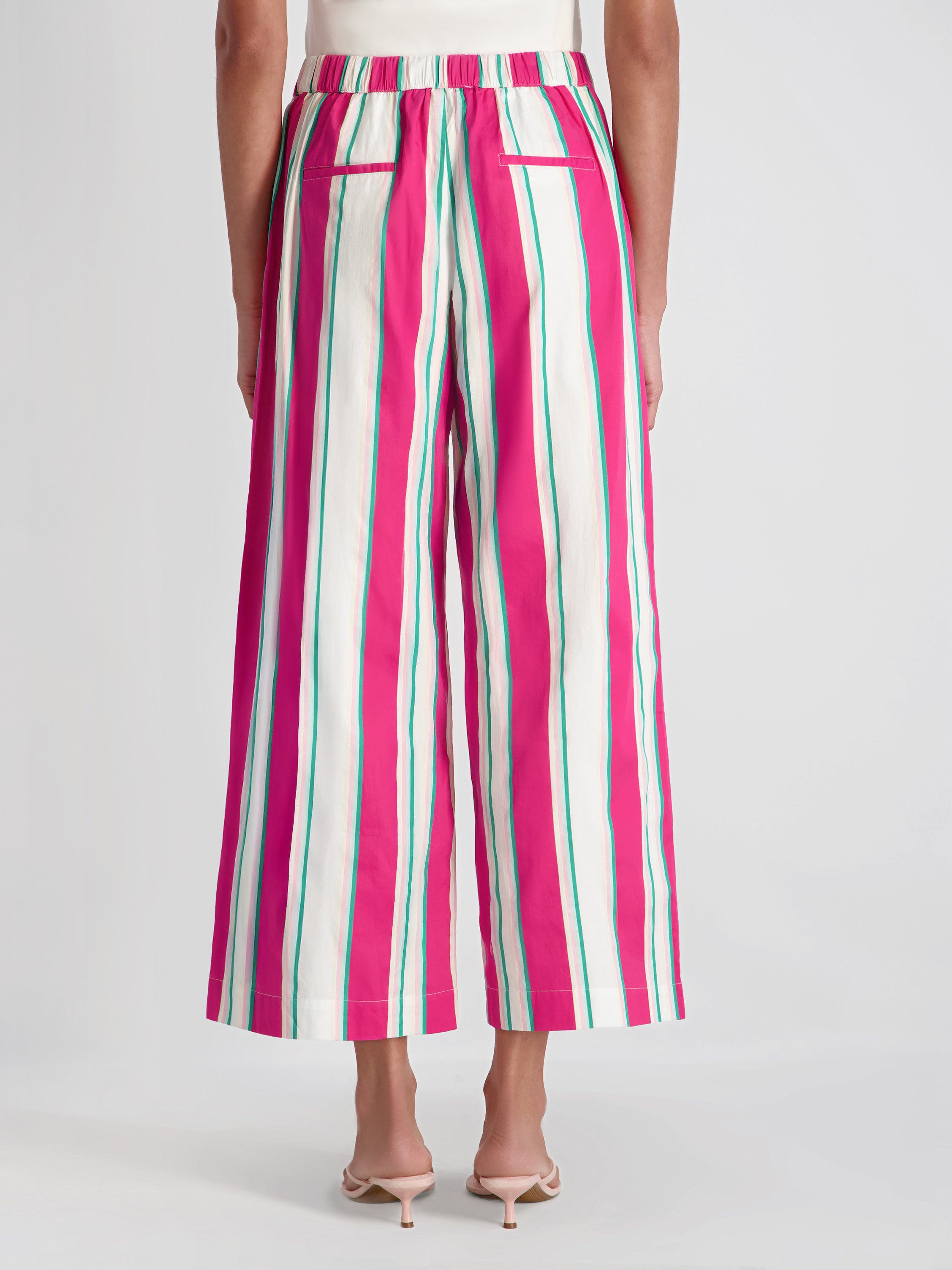 ALEXIS POPLIN HAVANA STRIPE CROP PANT VIEW 3 | Pants